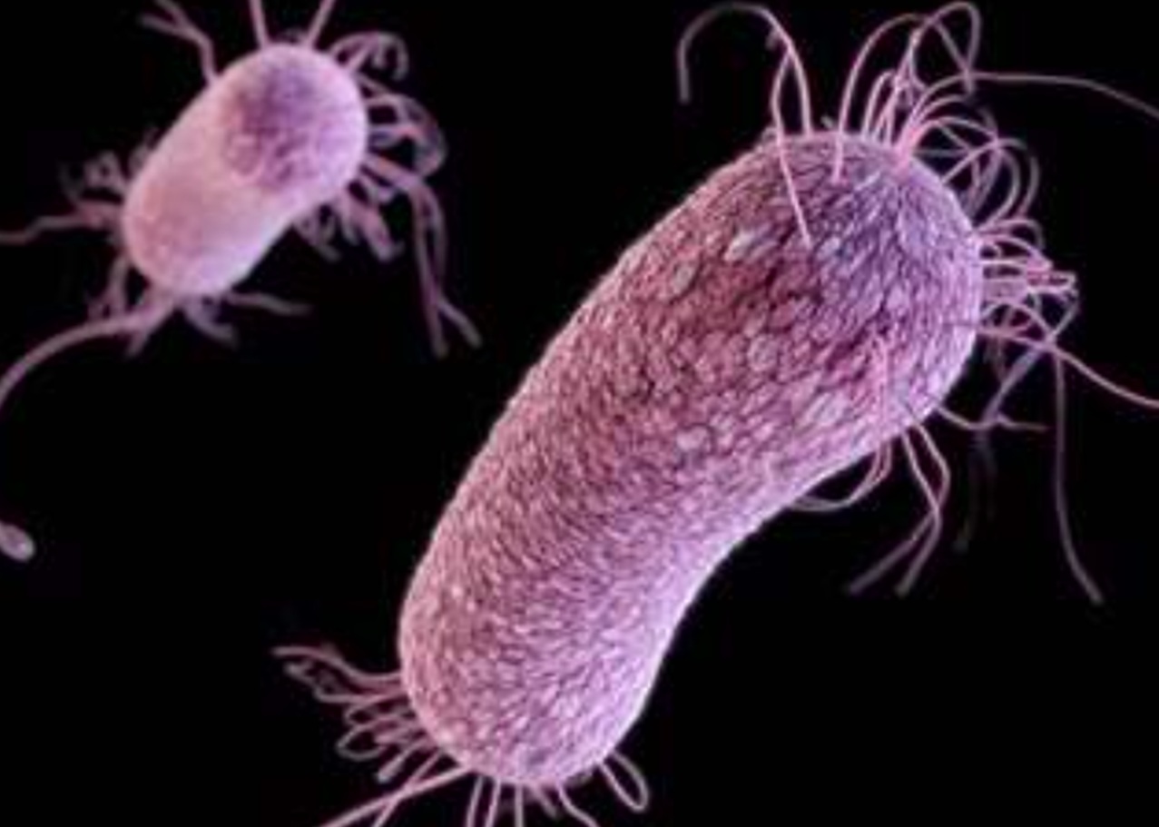 microbes-img