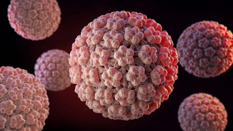 Genital warts or HPV
